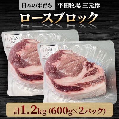【平田牧場】三元豚ロースブロック1.2kg(600g×2パック)
