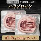 【平田牧場】三元豚バラブロック1.2kg(600g×2パック)