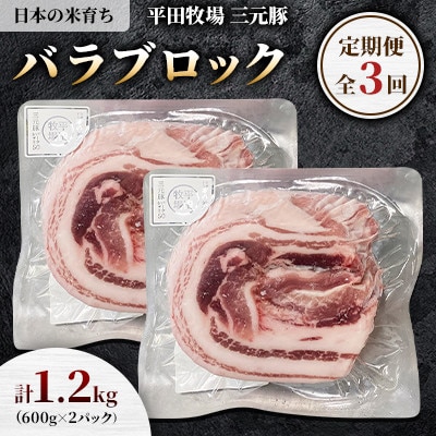 【毎月定期便】【平田牧場】三元豚バラブロック1.2kg(600g×2パック)全3回