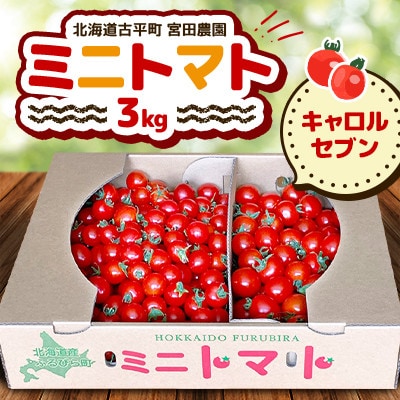 【先行受付】【宮田農園】ミニとまと　キャロルセブン(3kg)