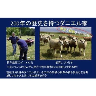 シキボウ　抗ウイルス加工生地を使ったフランス羊毛100%入り　布団　シングル　アラウール100
