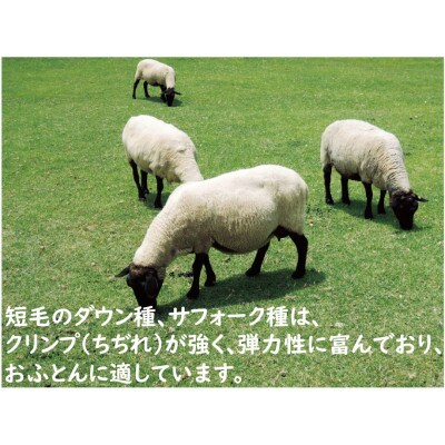 英国羊毛100%わた入り布団　掛ふとん　シングルロング　ピンク　K03J371125ESA