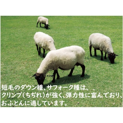 英国羊毛100%わた入り　敷パッド　セミダブル　ピンク　K04J3725SDEWA