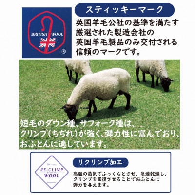 綿100%生地使用　英国羊毛100%わた入敷パッド　シングル　ブルー　K042203W20SB