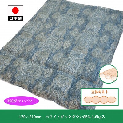 立体　羽毛ふとん(SDL)　ホワイトダックダウン【ダブル】　ブルー　K0524797D85SD