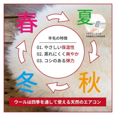 マチ付ボリュームタイプ羊毛敷ふとん　シングル　ブルー　K0425997EMB