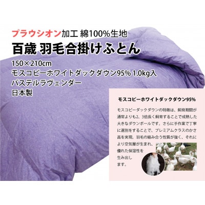 百歳羽毛合掛けふとん　シングルロングサイズ　パステルラヴェンダー色　K05IC001SHL