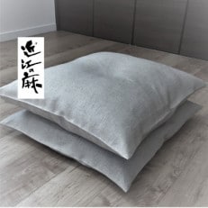 ご家庭で洗える　近江の麻　ミニ座布団　45×45cm　2個　ざぶとんカバー2枚