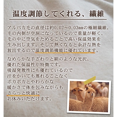 アルパカ毛布 シングルサイズ | 大阪府泉大津市 | ふるさと納税