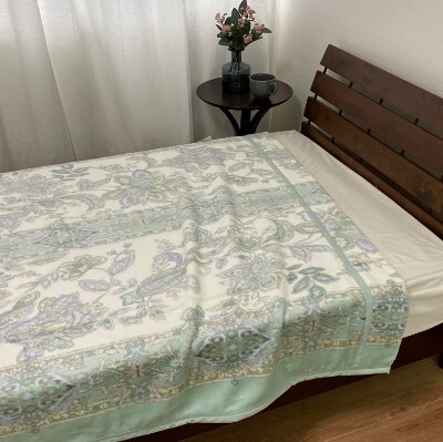 泉大津産　綿マイヤー毛布　シングル　140x200cm　グリーン　1枚　S-81726GR