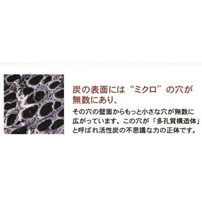 日本製　備長炭わた入り　敷きパッド　ダブル　140×205cm　ベージュ　BFP-14WBE