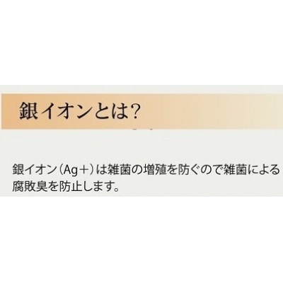 日本製　銀イオンシート入り(Ag+)　敷きパッド　ダブル　ベージュ　GFP-24WBE