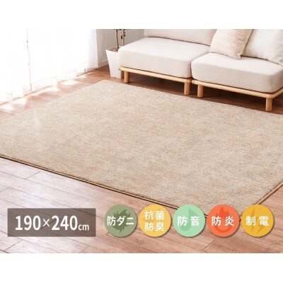 ワンランク上のナイロン　カーペット　ベージュ淡　1枚　　約190×240cm　350116702型