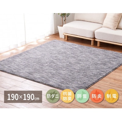 ワンランク上のナイロン　カーペット　グレー　1枚　　約190×190cm　350116711型