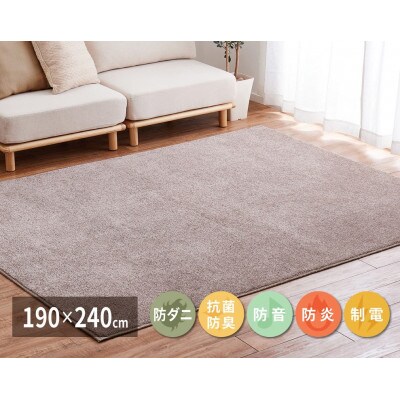 ワンランク上のナイロン　カーペット　ベージュ　1枚　　約190×240cm　350116802型
