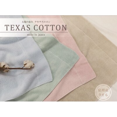 TEXSAS　COTTON　100%　タオルケット　シングル　ブルー　1枚　SNT-20TXBL