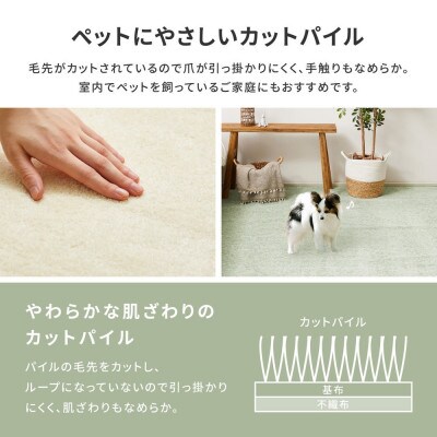 ペットにやさしい　8大消臭・抗菌カーペット　アイボリー　1枚　8帖　600095080