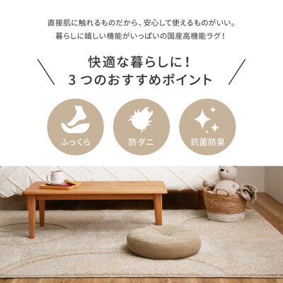 日本製ふっくら厚手の防ダニ・抗菌防臭加工　カーペット　1枚　約185×240cm　350118308