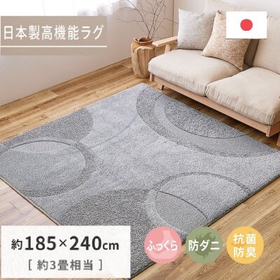 日本製ふっくら厚手の防ダニ・抗菌防臭加工　カーペット　1枚　約185×240cm　350118318