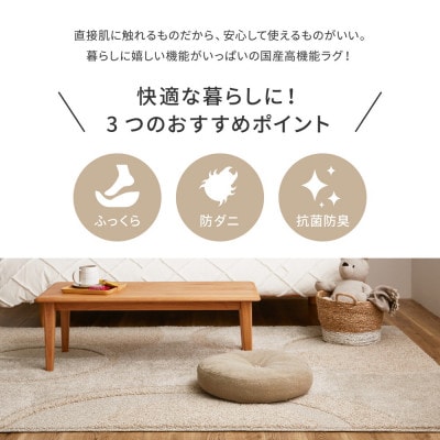 日本製ふっくら厚手の防ダニ・抗菌防臭加工　カーペット　1枚　約185×240cm　350118318