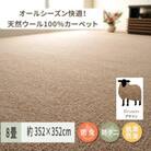 天然ウール100%の　防炎　カーペット　1枚　8帖　約352×352cm　600023680