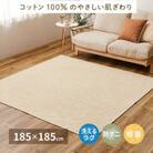 日本製　丸洗いOK　綿100%(表面)　カーペット　1枚　約185×185cm　350119001