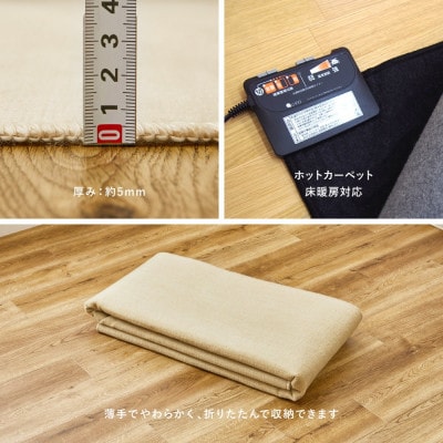 お医者さんがすすめるAskDoctors抗菌プラチナ加工カーペット　1帖アイボリー350120410