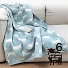 【ハーフサイズ】洗えるタスマニアラムウール混毛布 100×140cm グリーン1枚 OTW-R