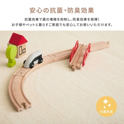 ペットにもやさしい　抗菌。防臭カーペット　江戸間6帖　1枚　ブラウン　600094560