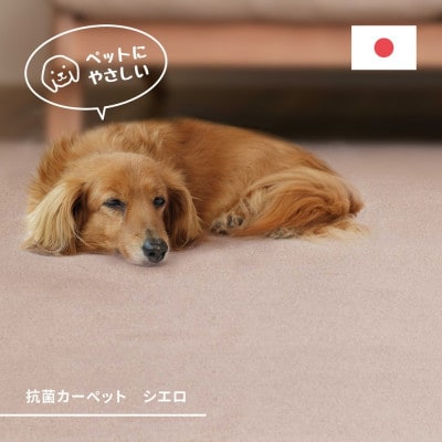 ペットにもやさしい　抗菌。防臭カーペット　江戸間10帖　1枚　ブラウン　600094510