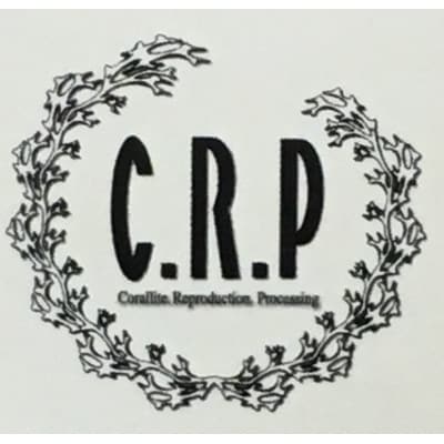 C.R.P加工毛布　マイヤー毛布　ダブル　ベージュ　1枚　(ニューマイヤー毛布)11755W