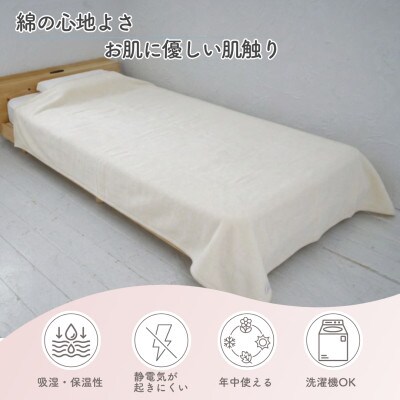 シングル綿毛布(毛羽部分)|　アイボリー　|毛布の町 泉大津市産