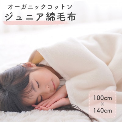 綿100%　ジュニア(ハーフ)サイズ綿毛布　|　オーガニック綿使用　|毛布の町 泉大津市産