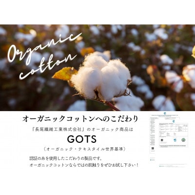 綿100%　シングルサイズ毛布(オーガニック綿使用)　毛布の町泉大津市産
