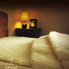 ザ・プレミアム ソフゥール 敷き毛布 セミダブル 120×205cm