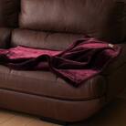 カルドニード・エリート ひざ掛け レッド (80×110cm)