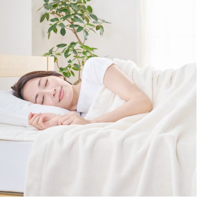 洗えるコットン毛布 S(シングル) キナリ