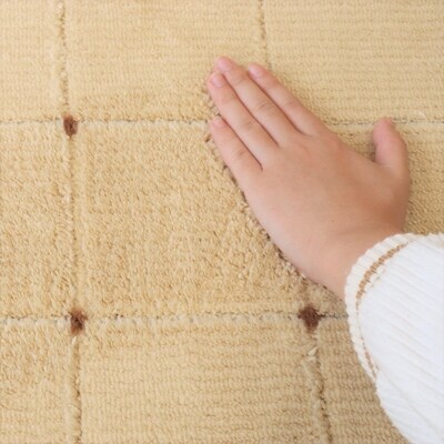 抗ウィルス、抗アレル物質、抗菌、消臭、防ダニ【PT-5】カーペット　190×240　ベージュ