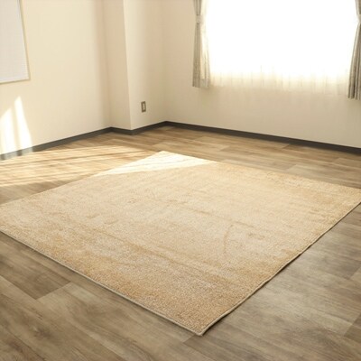 RUGカーペット【ホルン】　約190cm×240cm　ベージュ