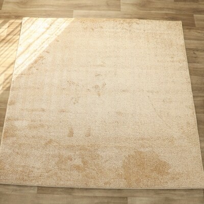 RUGカーペット【ホルン】　約190cm×240cm　ベージュ