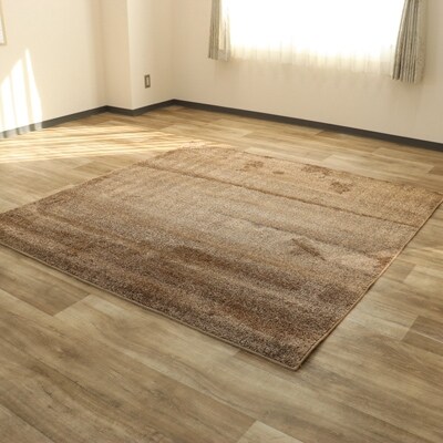 RUGカーペット【ホルン】　約190cm×240cm　ブラウン