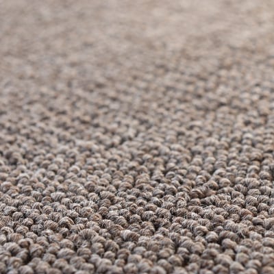 Bigループパイルカーペット【PET-6000】200×240　ブラウン