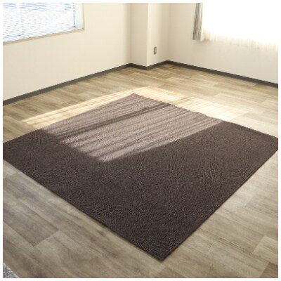 Bigループパイルカーペット【PET-6000】200×200　ブラウン