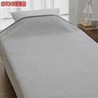 『ロマンス岩盤浴』　マイヤー毛布　グレー　ダブル　33037304