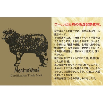 プレミアム温泉毛布温泉KW31000メリノウール敷パッドシングルサイズ　アイボリー