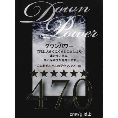 ダウンパワー470以上ポーランド産ダウンSM961190マザーグースダウン掛け布団アリアナPIダブル