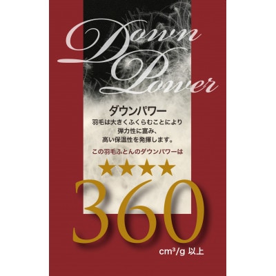 360ダウンパワー!SM911150イングランド　ホワイトダックダウン掛け布団ホワイト