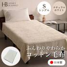 【コットン毛布 シングルサイズ ナチュラルホワイト】140×200cm 大阪府泉大津市産