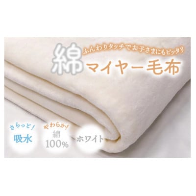 やわらかコットン100% 吸水性抜群 綿マイヤー毛布(毛羽部分) シングルサイズ　OZ-101