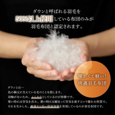 立体キルト羽毛ふとん　ブルー